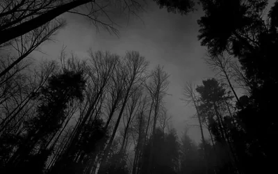 Black Tumblr Backgrounds