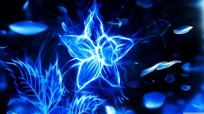 Neon Blue Glowing Flower HD Wallpaper