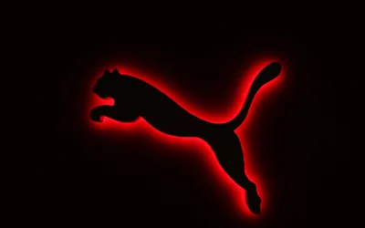Puma wallpaper