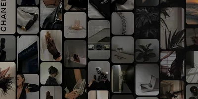 feed