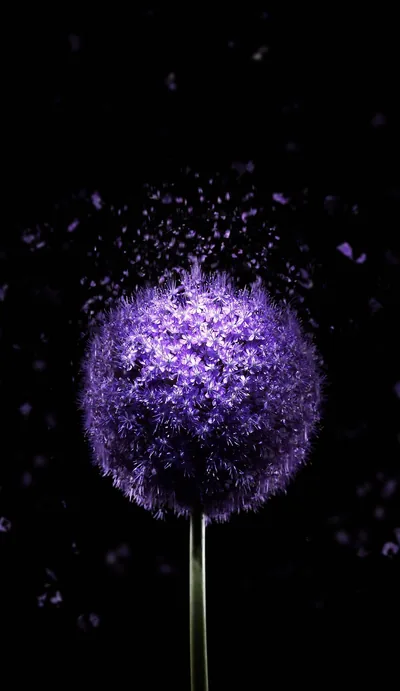 4k Nature Amoled Wallpapers
