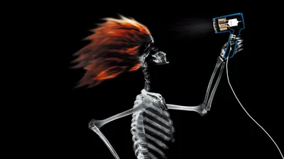 Funny Skeleton In Black Background HD Funny Wallpapers