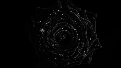 Laptop 4k Dark Wallpapers