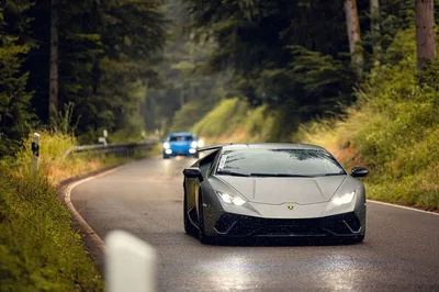 Wallpaper Mural Matte gray Lamborghini in nature Wallpaper Murals