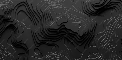 Elegant Black Topographic Wallpaper Minimalist design concept