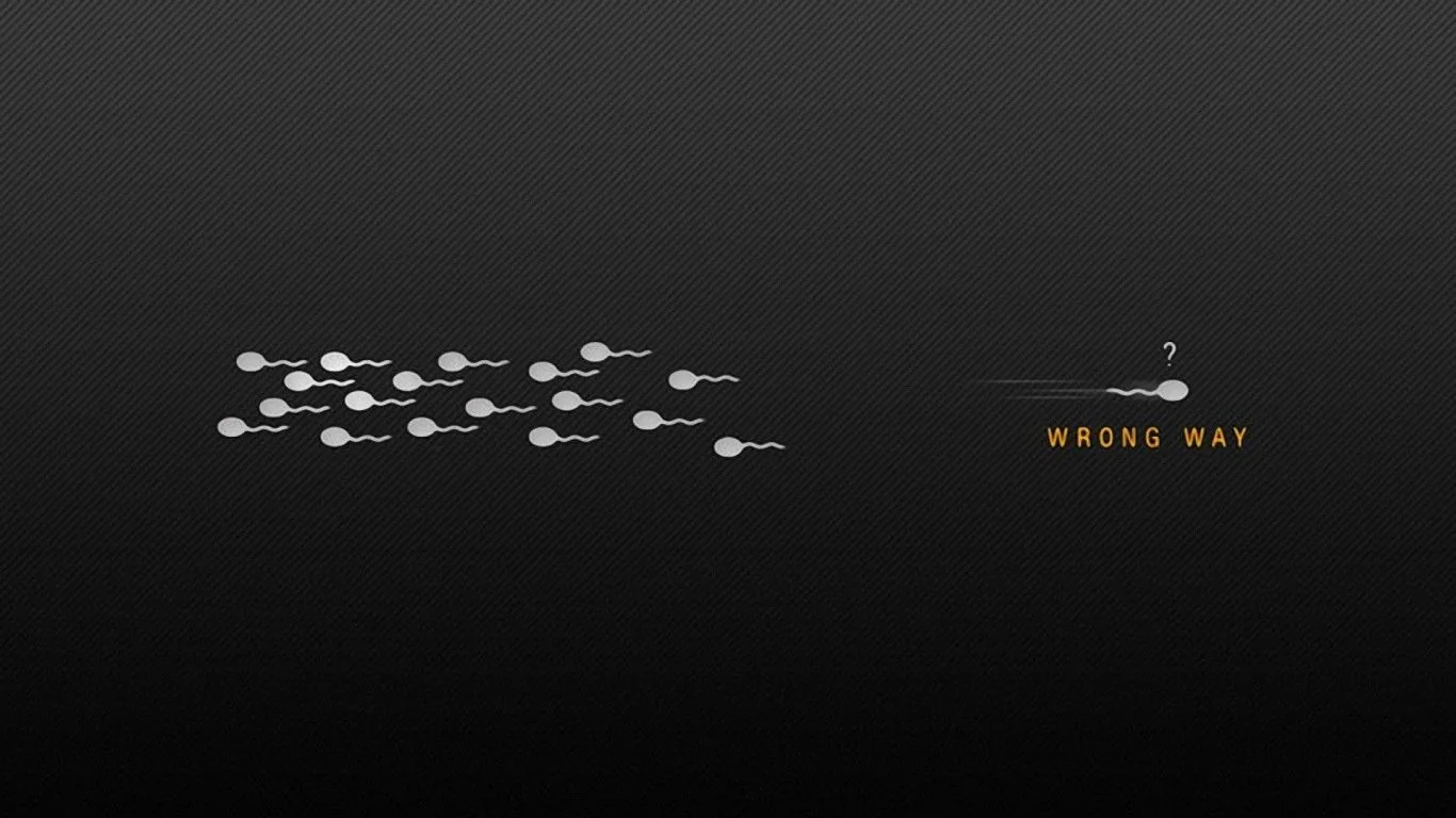 Funny Black Wallpapers 4k, HD Backgrounds