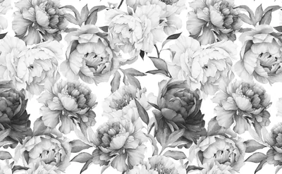 Grey Peony Pattern on White HD Wallpaper