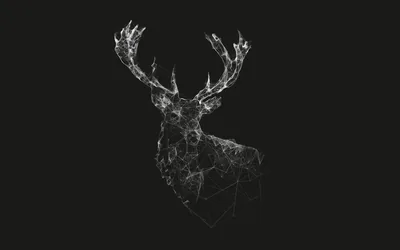Deer Head Made of White Particles HD Wallpaper
