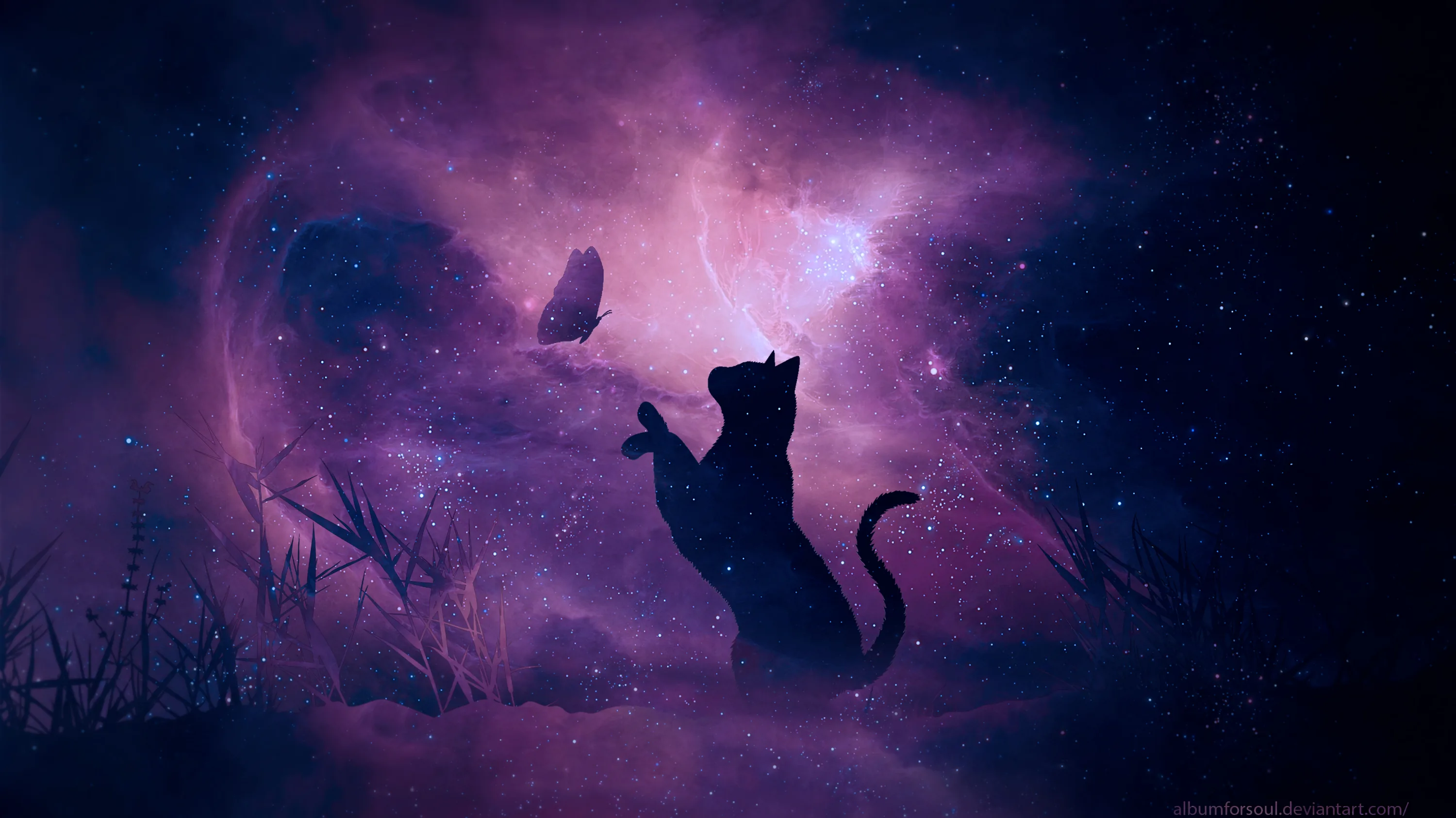 Wallpaper Black on Grass Field During Night Time, Background Free Image