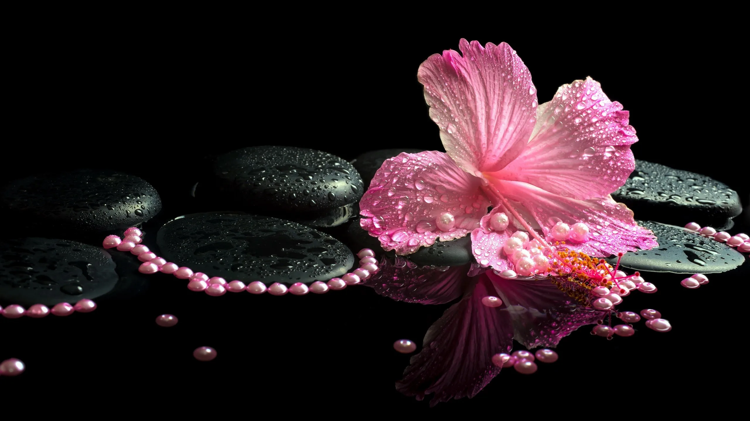 Wallpaper beads, black background, hibiscus, Spa stones for mobile and desktop, section