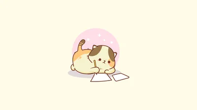 Calico Cat Reading Its Notes HD Wallpaper