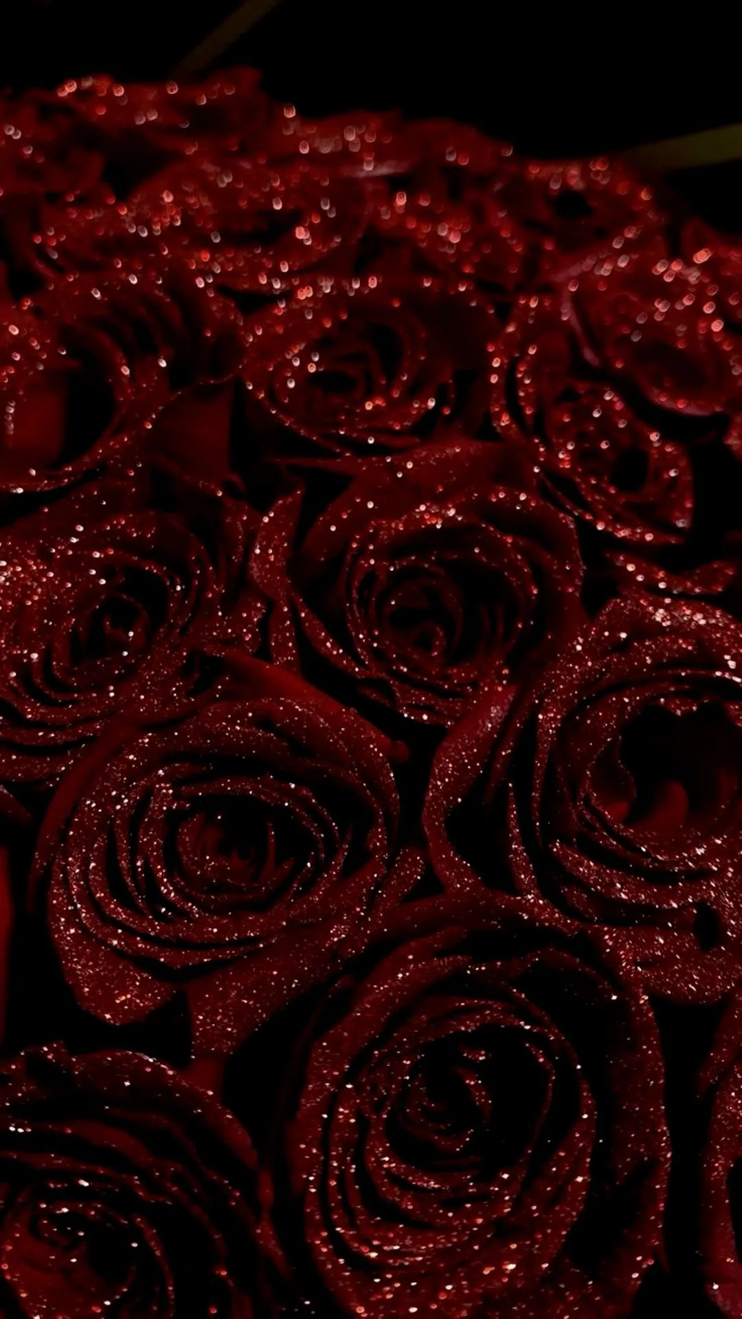 A bouquet of dark red roses dusted with sparkling droplets fills the whole tall frame, the blooms falling away into near-black shadow toward the top.