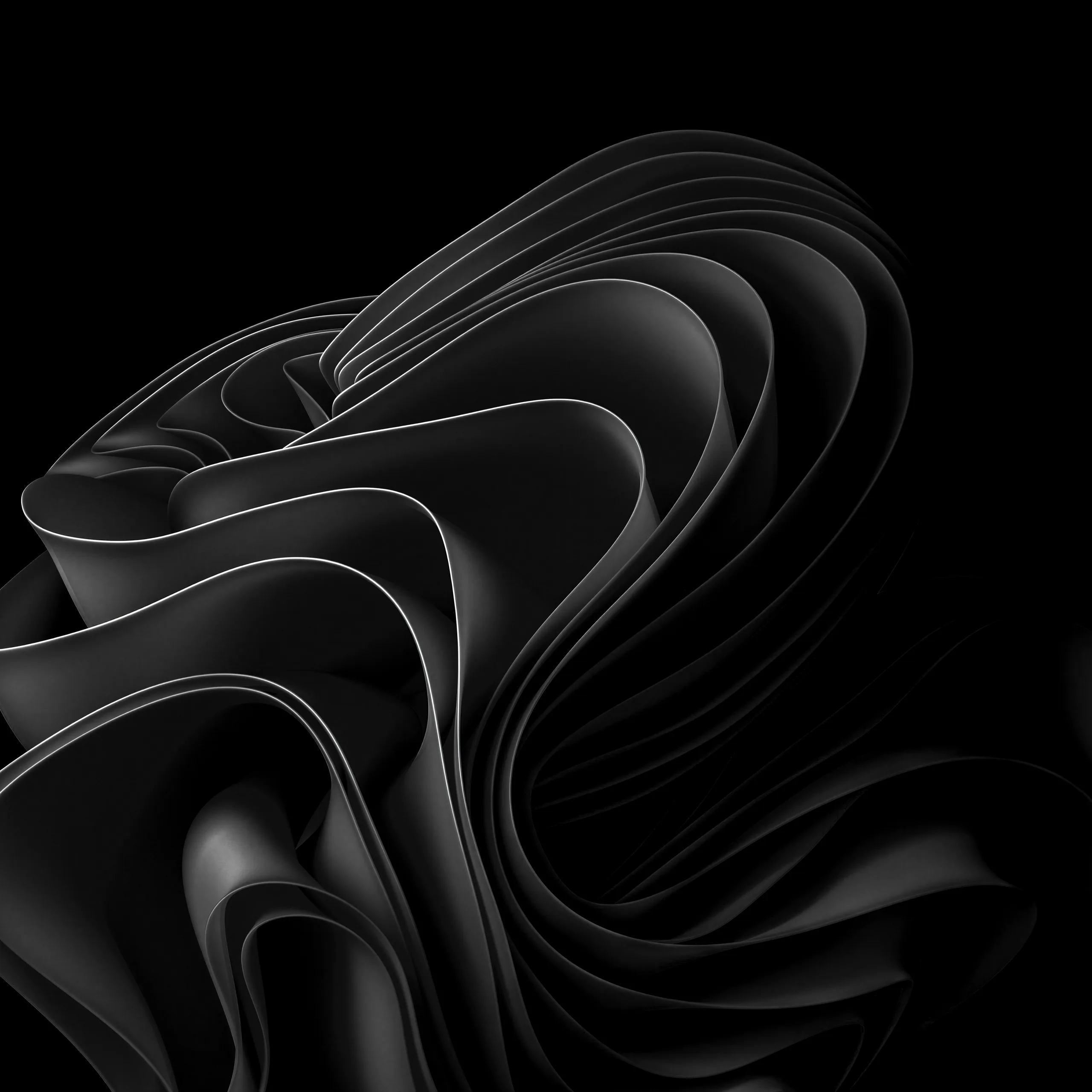 Folded dark ribbons curl in on themselves like petals, each edge catching a thin highlight against a pitch black square background.