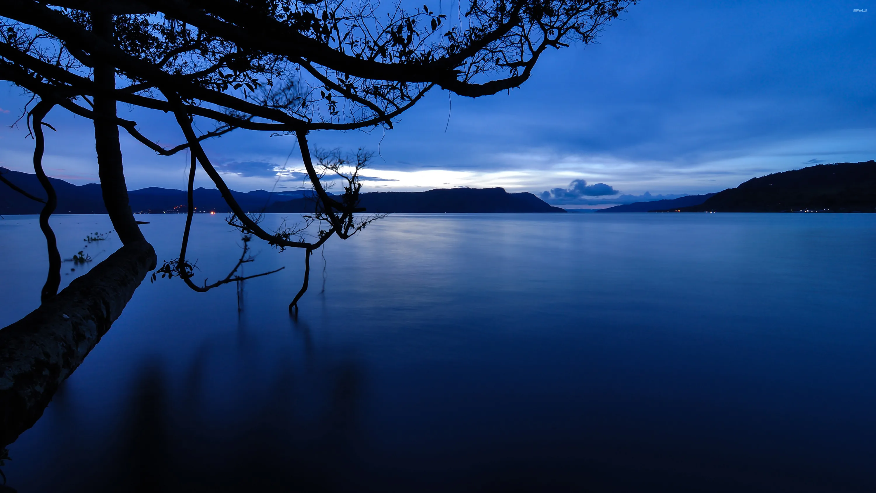 Bare branches lean in from the left over a calm lake at blue hour, with faint hills and low cloud on the far shore.