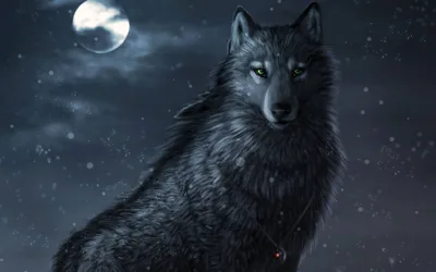 Black Cool Wolf Wallpaper