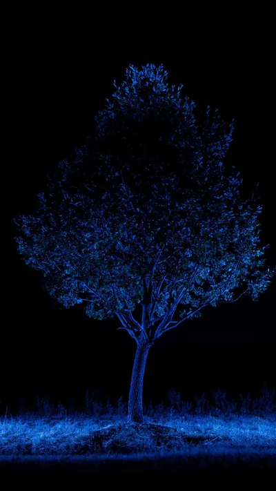 Black Blue Amoled Backgrounds