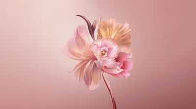 4K Pastel Wallpaper