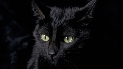 Black HD Desktop Wallpapers Black HD Desktop