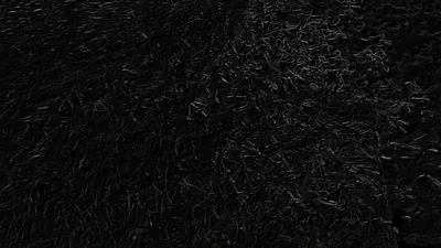 Black Grass Blades Close-Up HD Wallpaper