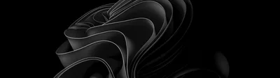 Windows 11 Bloom on Ultrawide Black HD Wallpaper