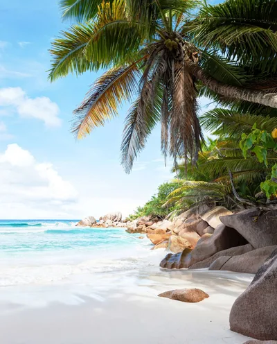 Wallpaper Mural Beautiful tropical sand beach
