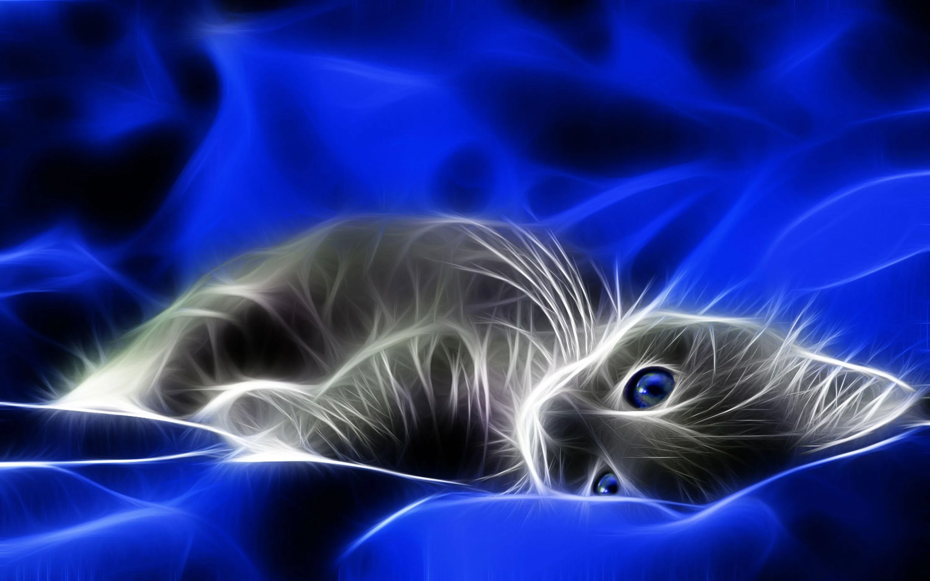 Animated Moving Wallpapers