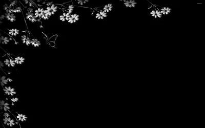 Black and White Floral Wallpaper