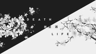 Death and Life Split Blossoms HD Wallpaper