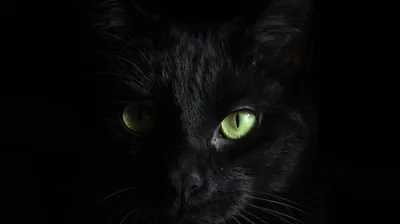 Green Eyes Black Dark Theme Black Background 4K HD Dark Theme Wallpapers