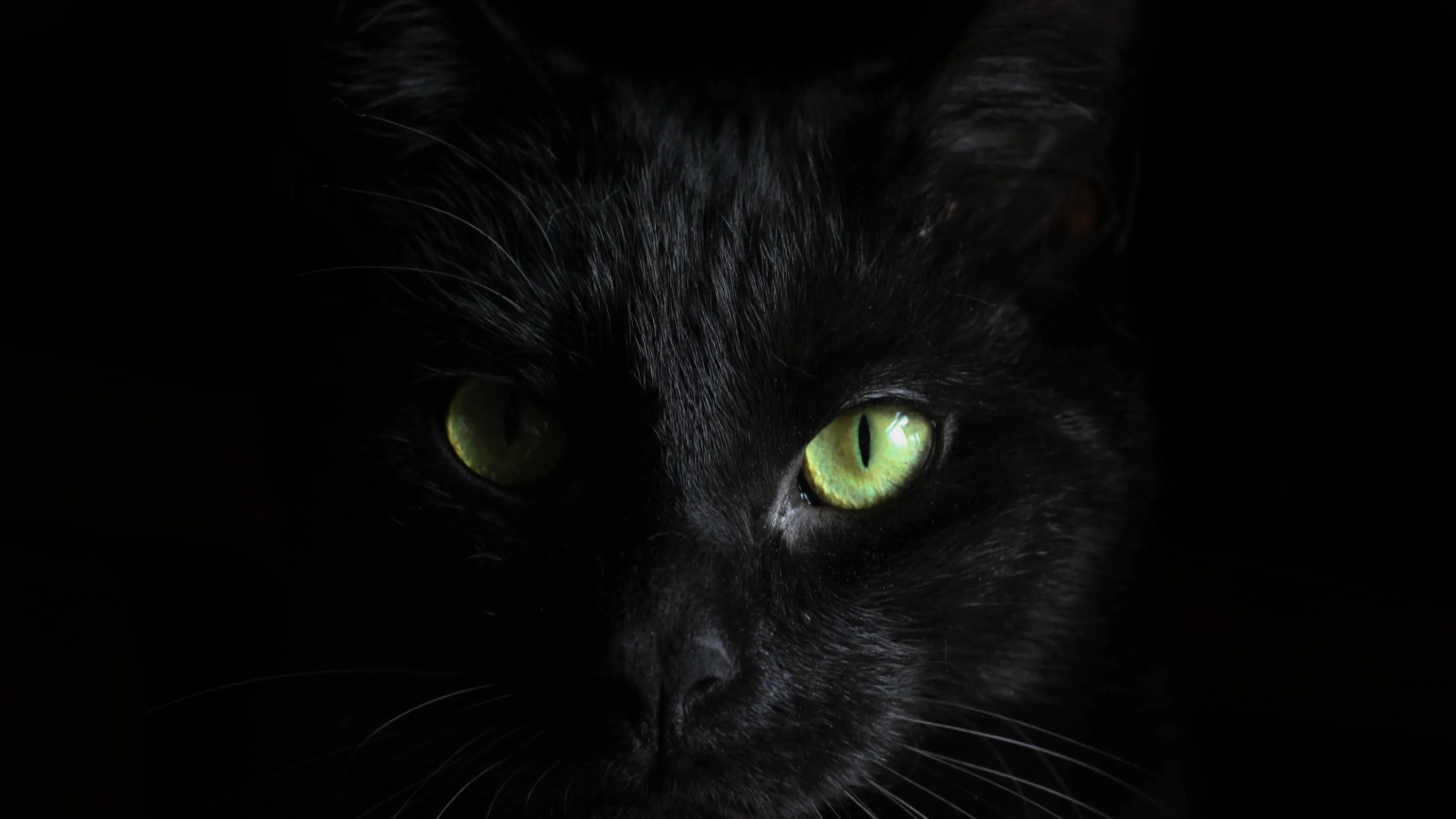 Green Eyes Black Dark Theme Black Background 4K HD Dark Theme Wallpapers