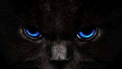 Black And Blue Wallpapers