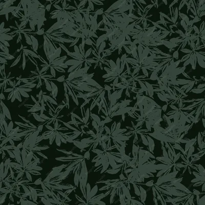 Premium Vector