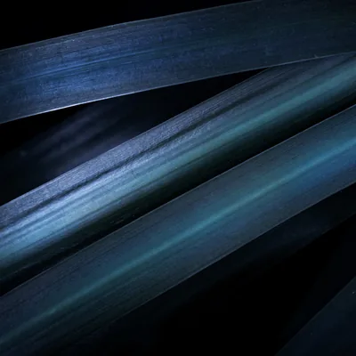 Blue aesthetic Wallpaper 4K, Leaves, Pattern, Macro