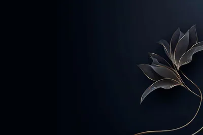 Elegant Pc Wallpapers Images