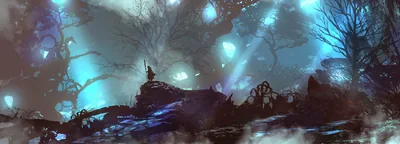 Fantasy Forest With Blue Glowing Lights HD Wallpaper