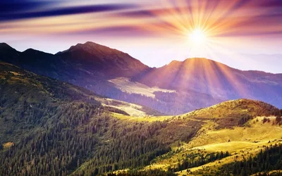Purple Sky Over Rolling Green Hills HD Wallpaper