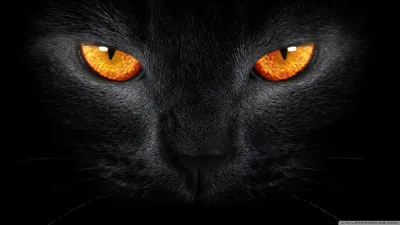 HD Cool Black Wallpapers Background