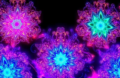 Mandala Flowers Glowing in Neon HD Wallpaper