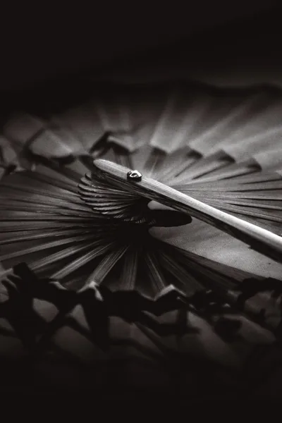 Black Fan Photos, The BEST Free Black Fan Stock Photos & HD Images