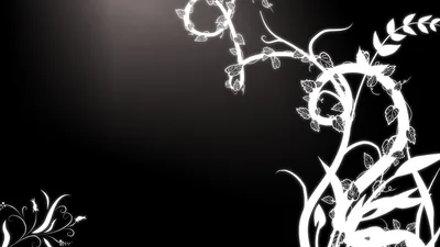White Floral Vines on Black HD Wallpaper