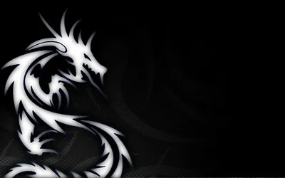 Black and White Dragon Wallpapers Black and White Dragon