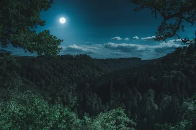 Free Dark Nature & Nature Images
