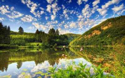 Grassy Riverbank Under Puffy Clouds HD Wallpaper