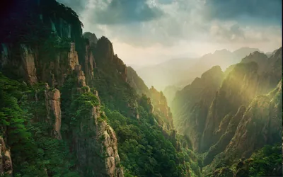 Sunlight Streaming Into a Green Canyon HD Wallpaper