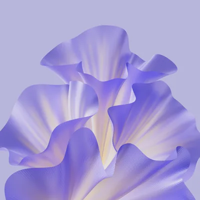 Purple aesthetic Wallpaper 4K, Floral, HONOR Magic V2, Stock