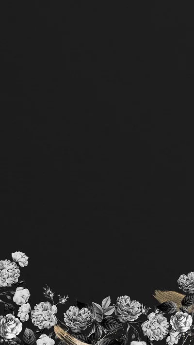 White Roses Along a Black Border HD Phone Wallpaper