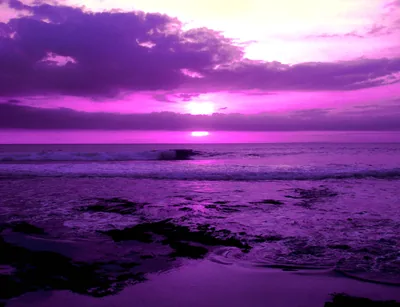 Best purple wallpapers