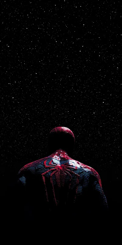 Spider-Man Under a Starry Sky HD Phone Wallpaper