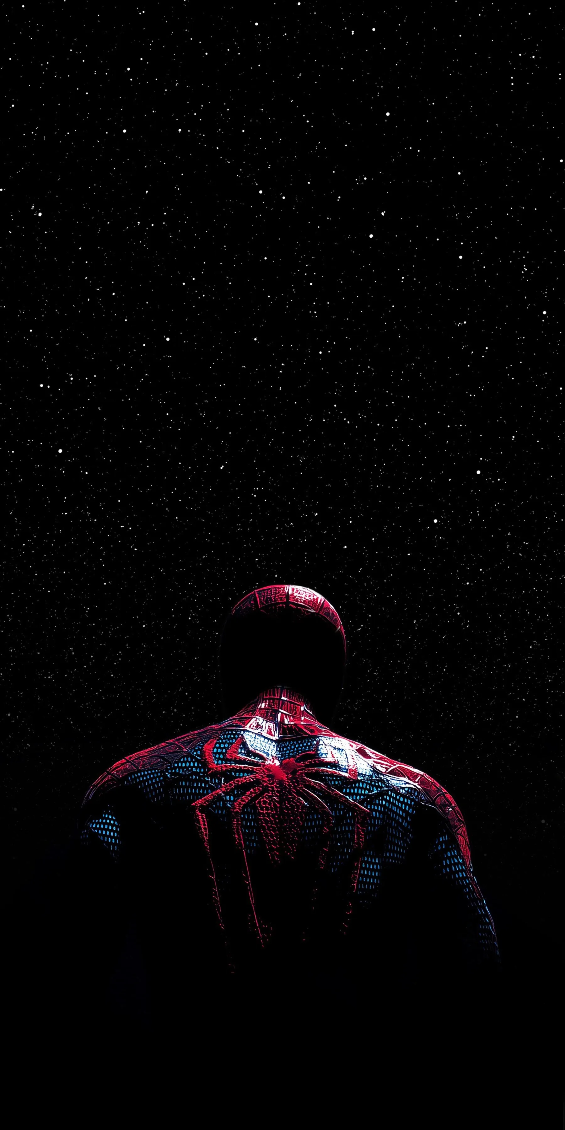 Spider-Man seen from behind against a dense field of stars, the red suit reading almost brown in the low light.
