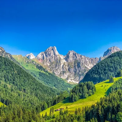 Alps in Summer Under a Clear Blue Sky HD Wallpaper